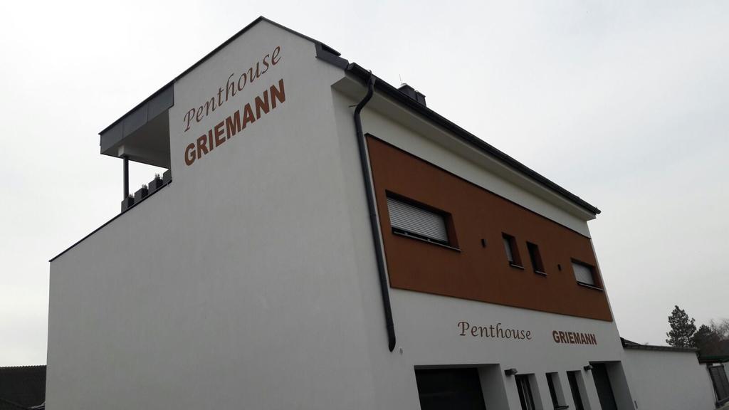 Penthouse Griemann 2 Fuer Max 4 Personen Mit Eigener Grosser Dachterrasse Zum Relaxen! Illmitz Exteriör bild